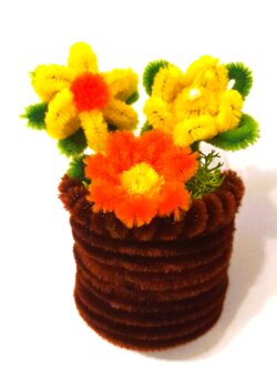 calamita fiori1